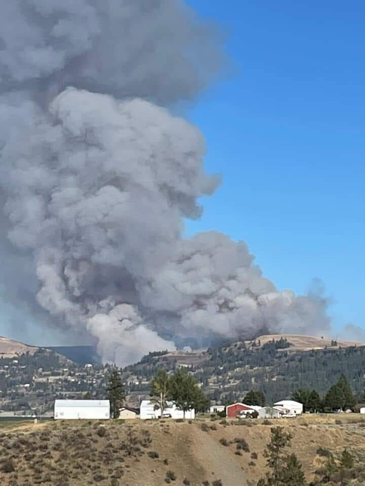 Seven Bays Fire